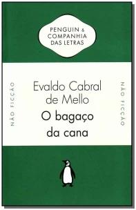 O bagaço da cana